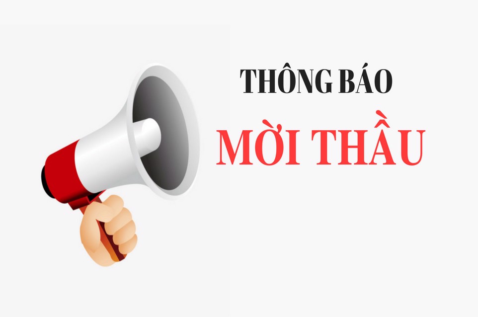 Blog Single